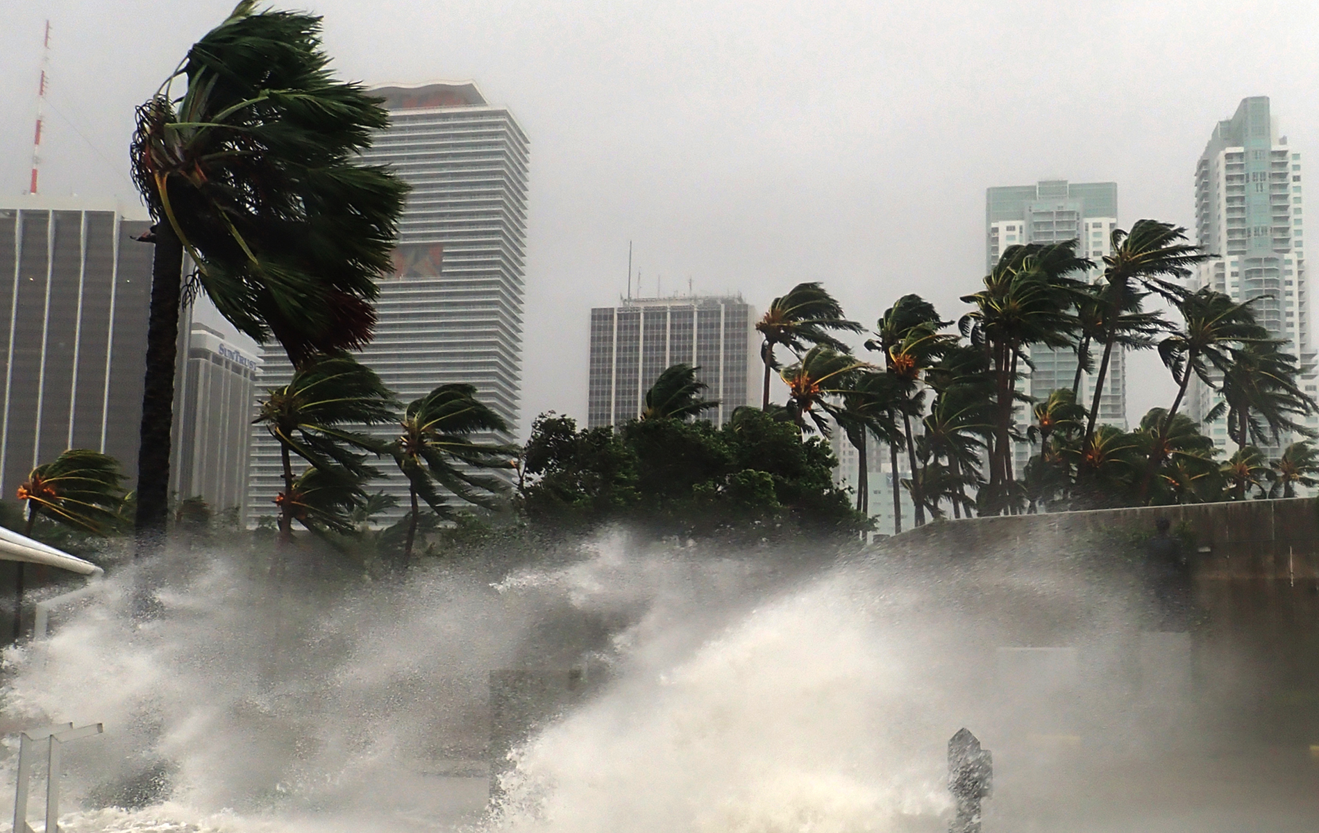 Hurricane impacts being felt along the Miami coastline. Waves crashing onshore, palm trees blowing in high winds.