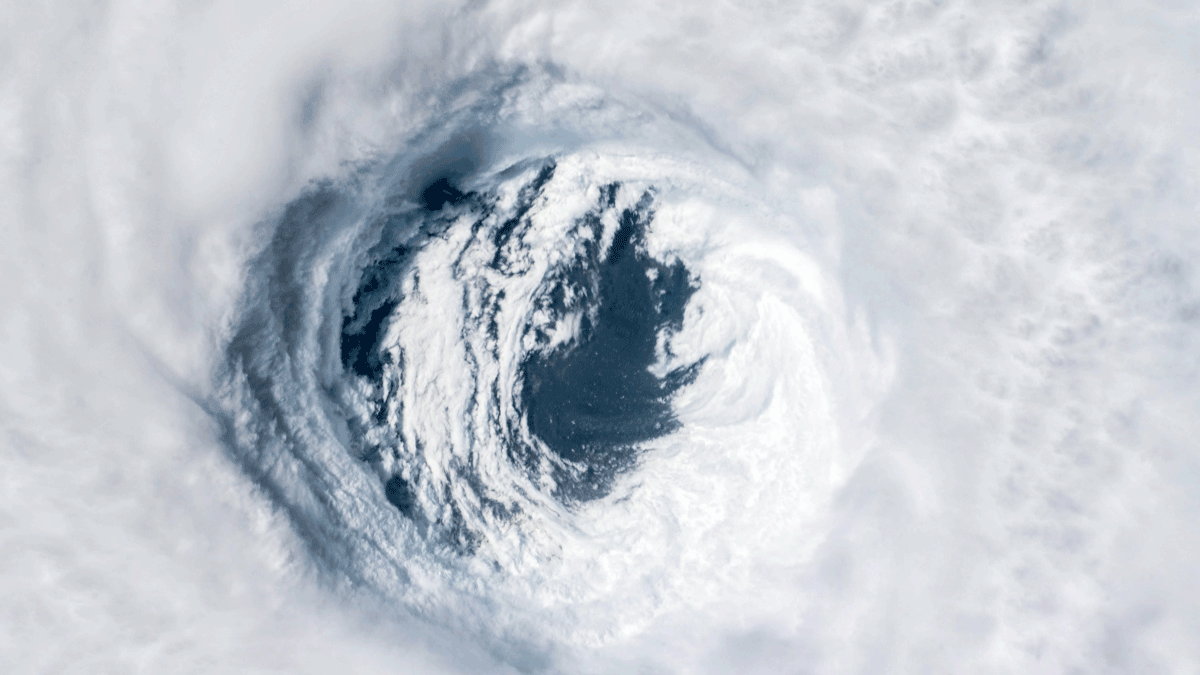 Hurricane View Overhead